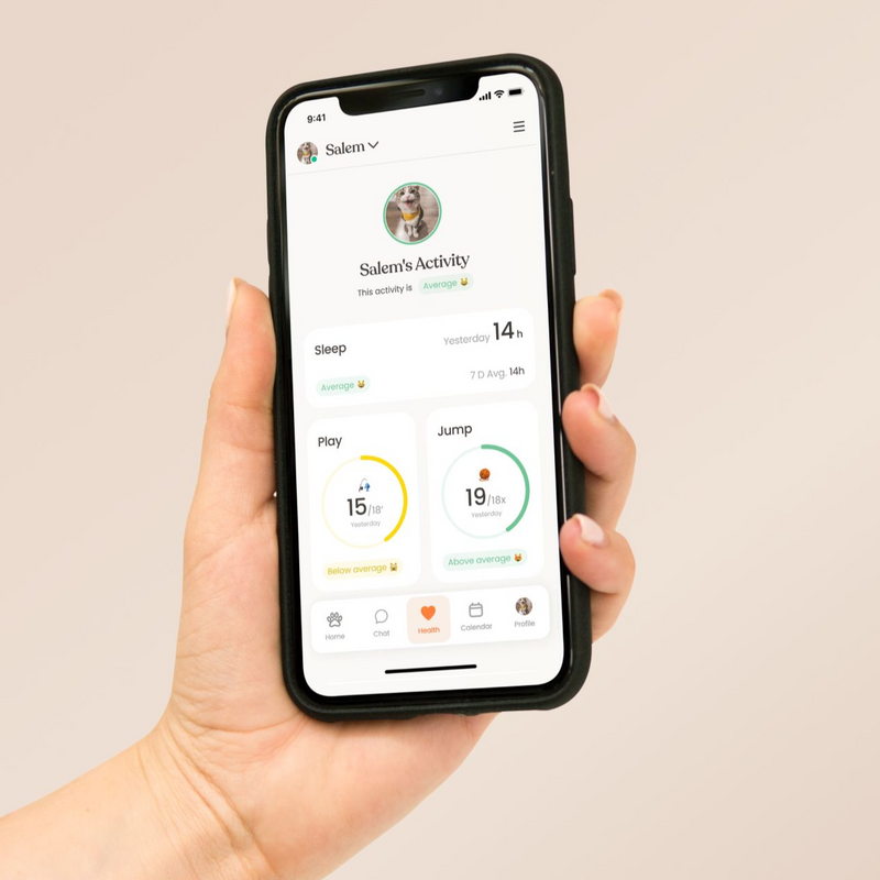 Moggie app - cat health dashboard