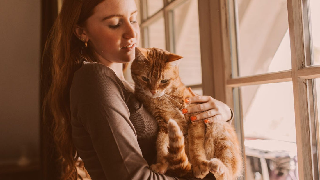 What to Expect When You Adopt a New Cat