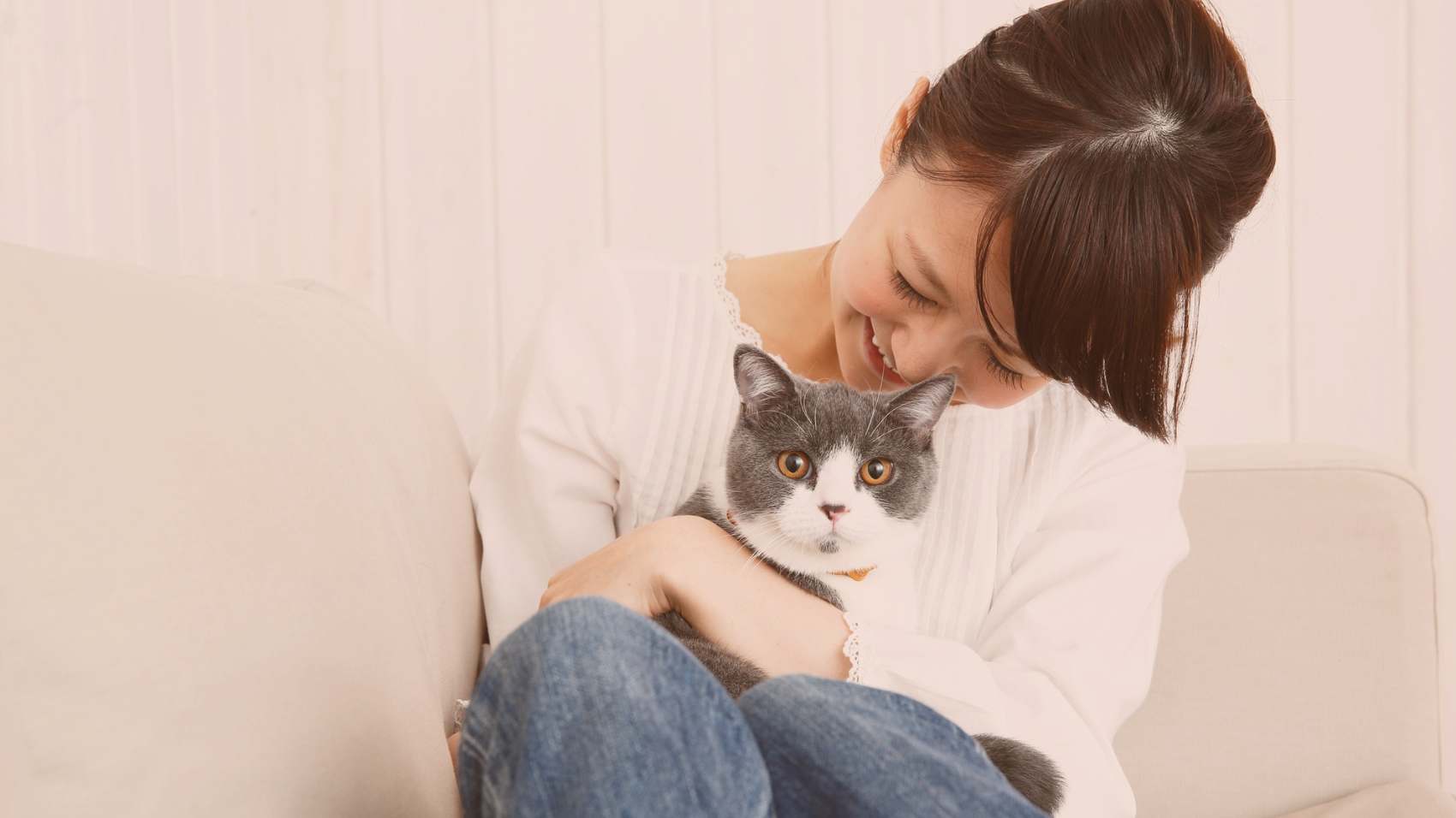 Cat Image