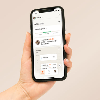 Hand holding a smartphone displaying the Moggie app interface: wellbeing, daily summary, and activity journal