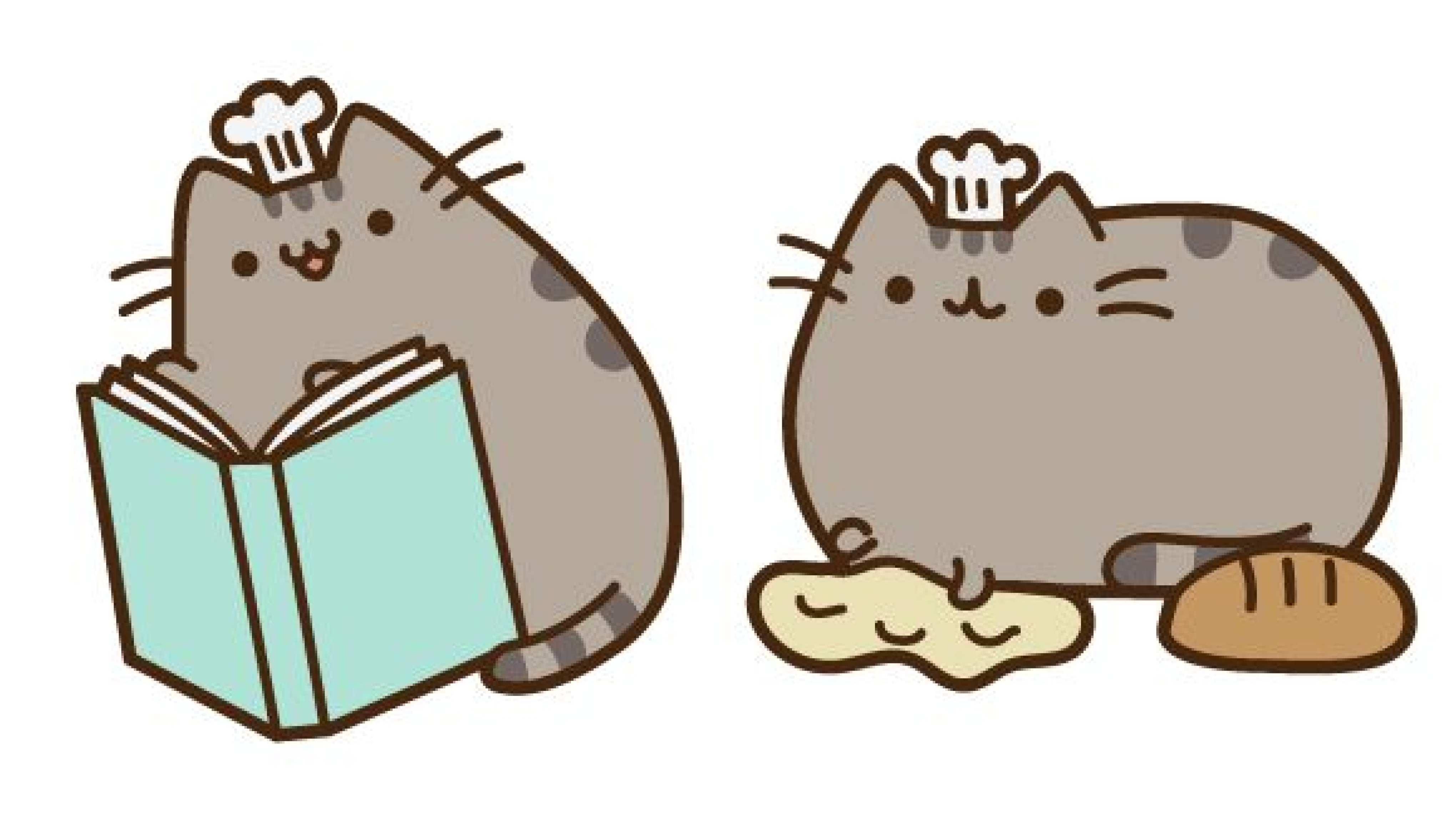 Cat Image