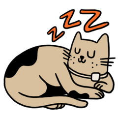 Cat Health